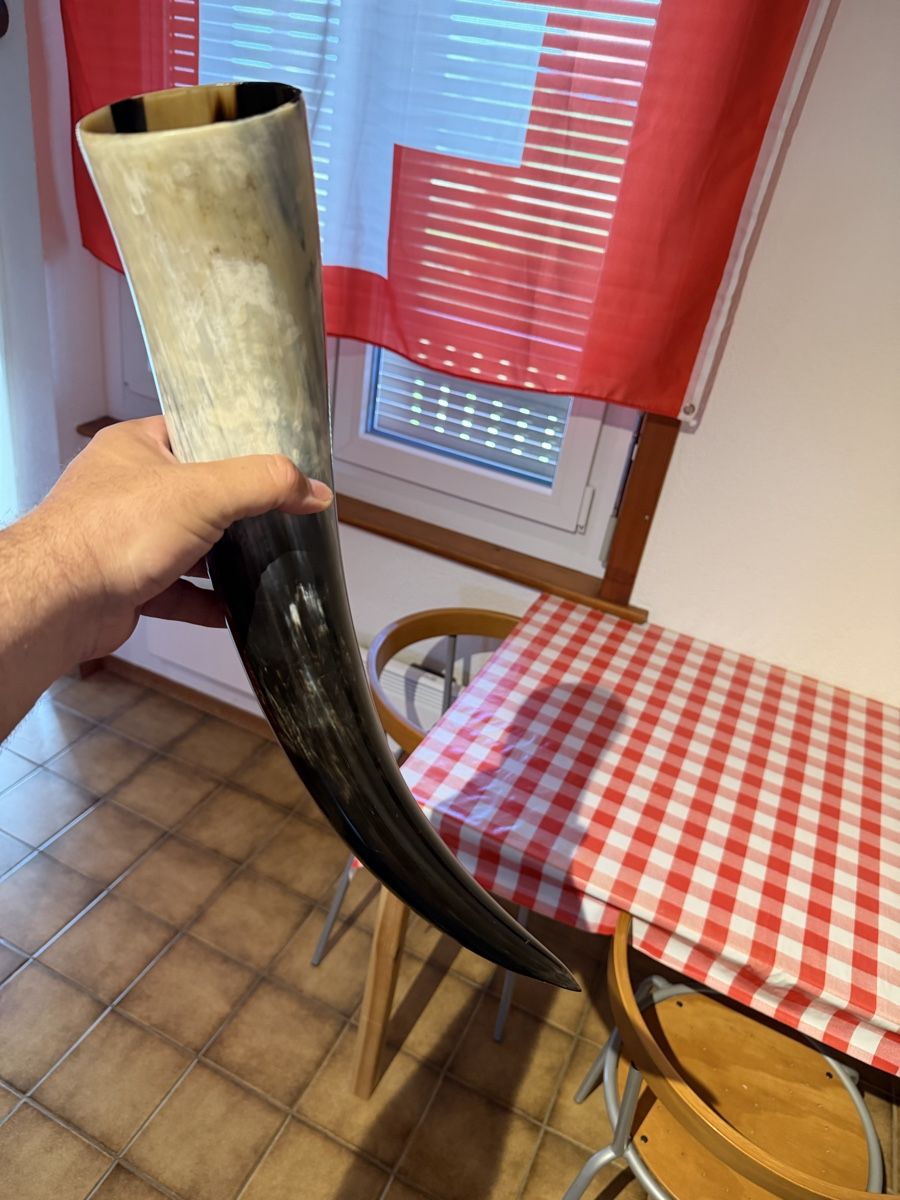 Tutte le decorazioni: Grande Corne à boire 45cm – Nuovo (secondo la descrizione) da Villarimboud venduto da Beowulf1691 5