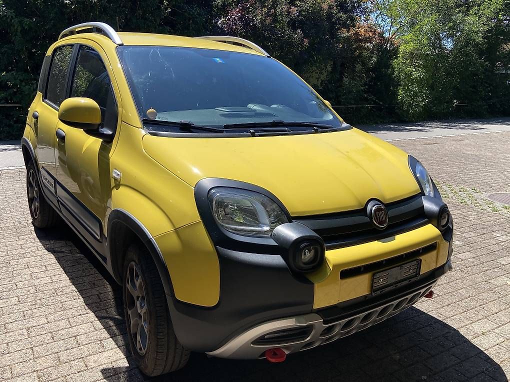 Automobili: Einmaliger Fiat Panda 4x4 Cross – Usato da Muri b. Bern venduto da Gurten62