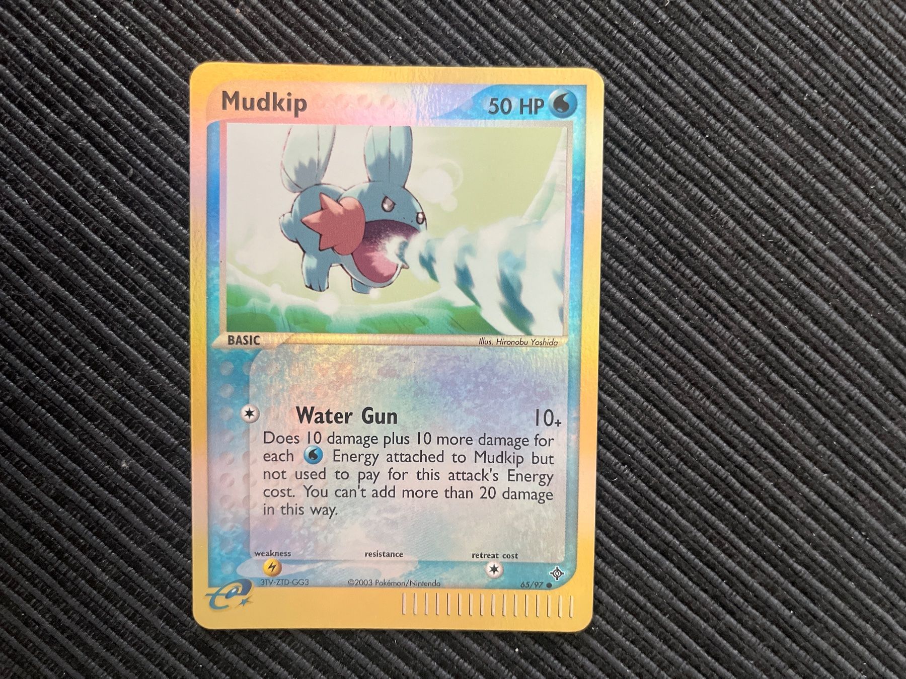 Pokémon Cartes à collectionner: Pokemon Mudkip Reverse Holo EX Dragon – D'occasion à Wabern par Collectfun