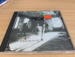 Pilgrim Souls – Is This All Of Us?