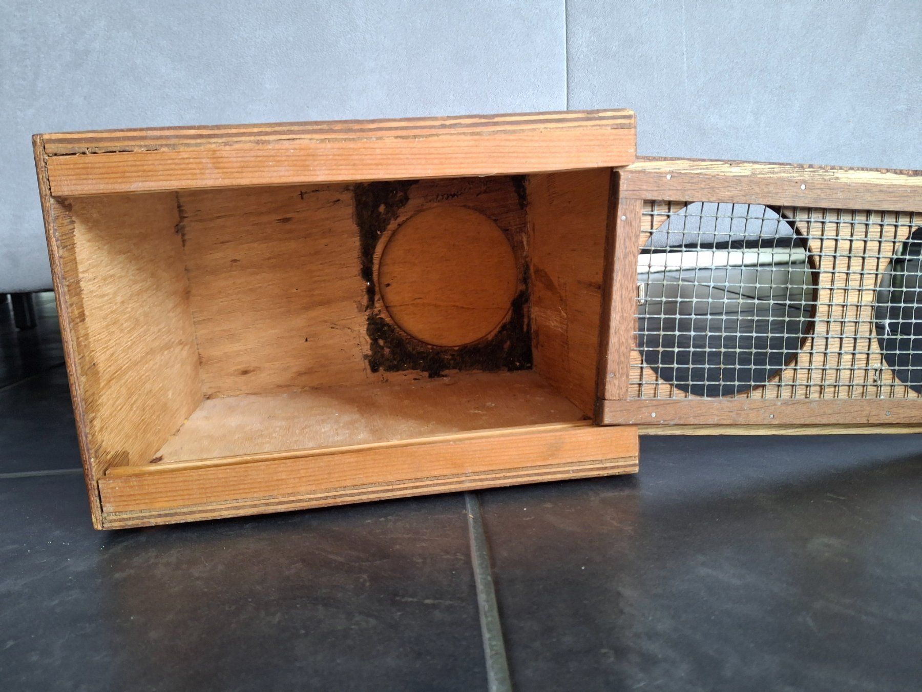 Käfige, Transport & Sicherheit: Transportbox Holz Vögel, mit 1 Abteil – Gebraucht aus Walterswil SO von peiper2 6
