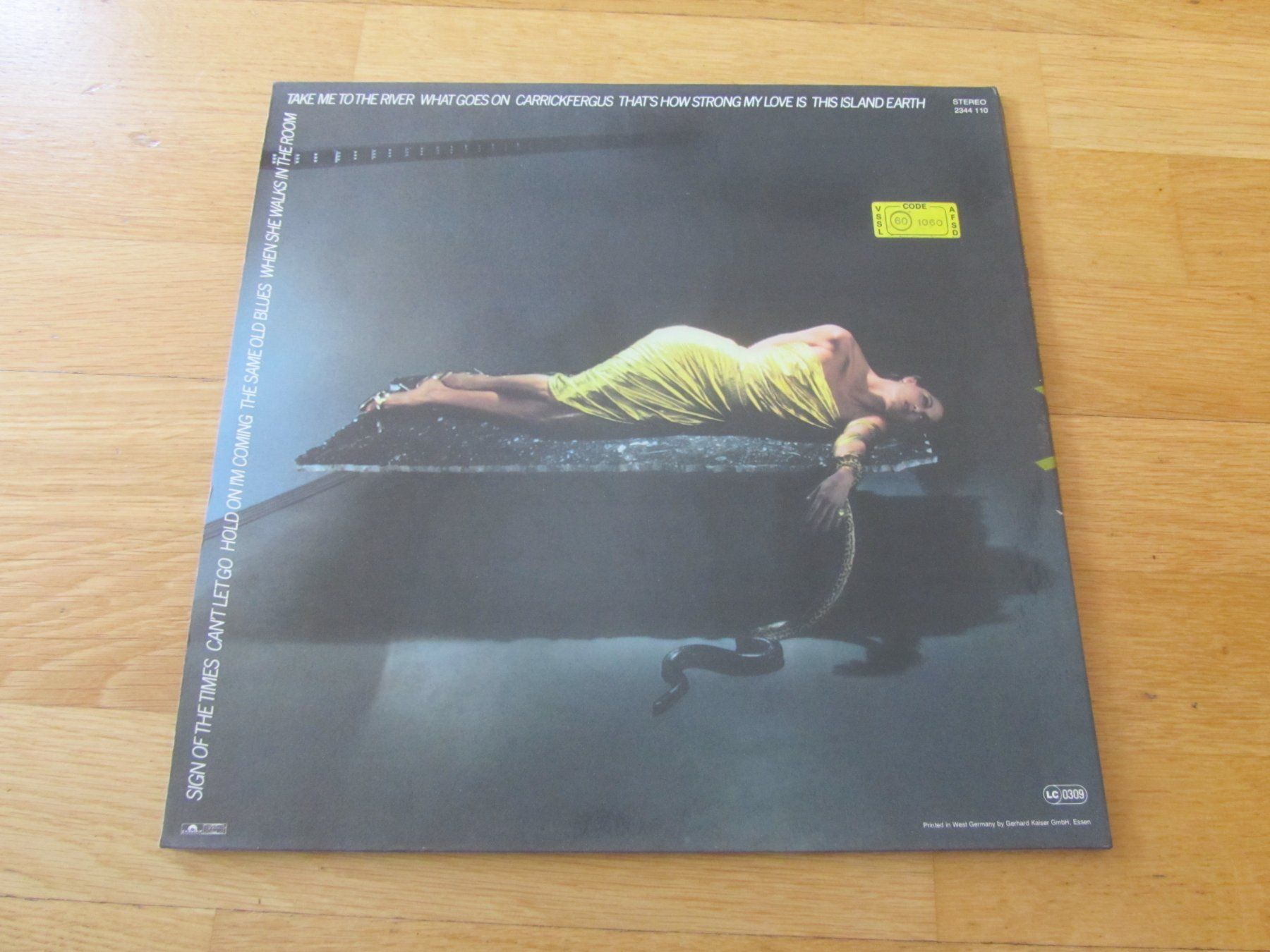 Dischi in vinile: Bryan Ferry - The Bride Stripped Bare - Vinyl LP – Usato da Seengen venduto da mikelele 4