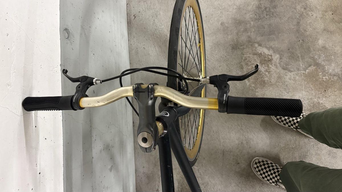 Biciclette: Singlespeed Fahrrad – Usato da Jona venduto da bik_7mxd 4