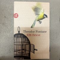Livre de Theodor Fontane, Effi Briest - Edition It