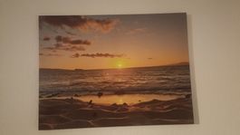 Bilder