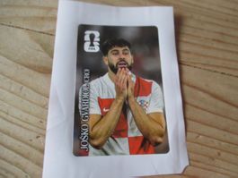 WM 2026 Panini Coca Cola Josko Gvardiol