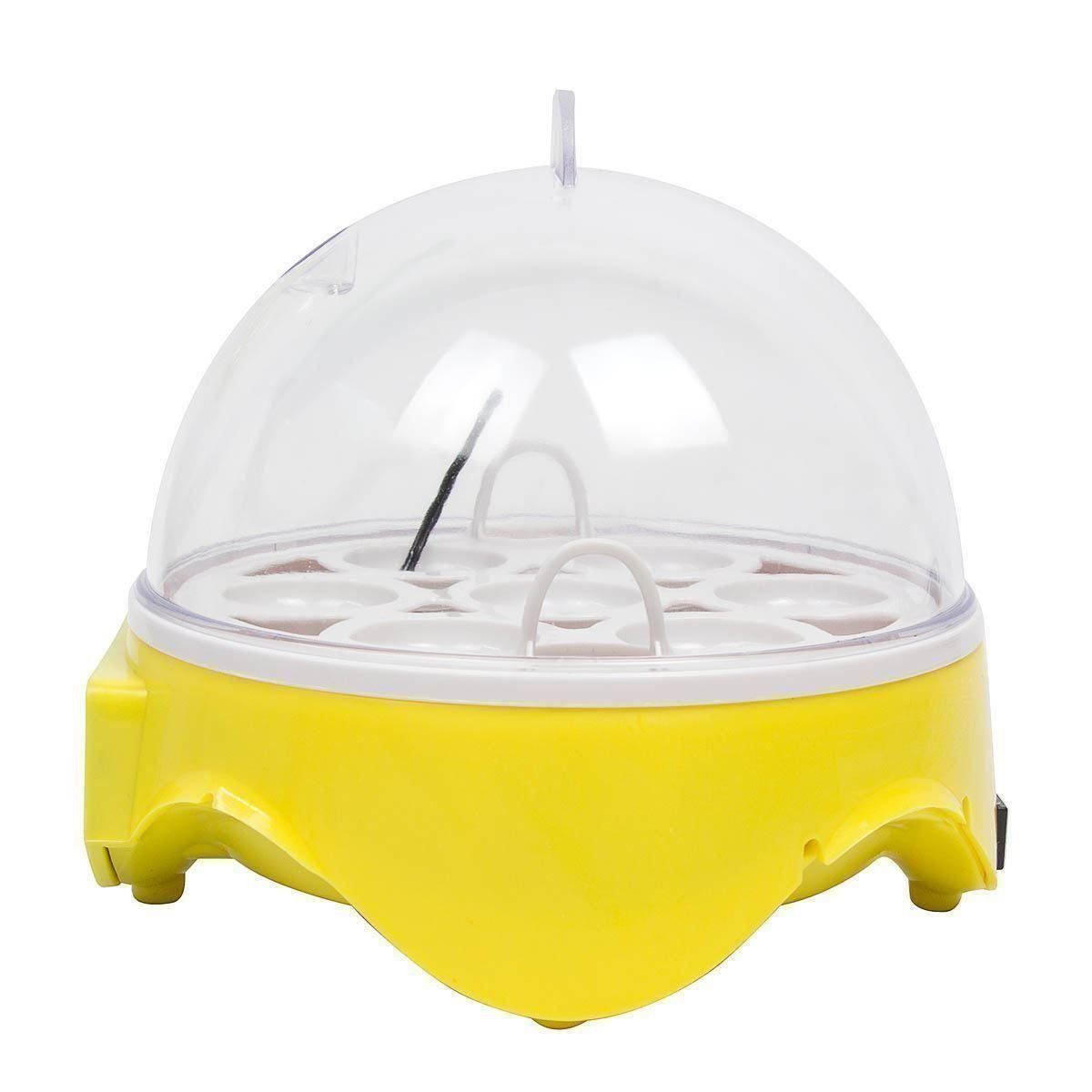 Altro in Accessori per animali: Brutgerät für 7 Eier, Inkubator Küken Schlupfbrüter – Nuovo (secondo la descrizione) da Thun venduto da Top32 7