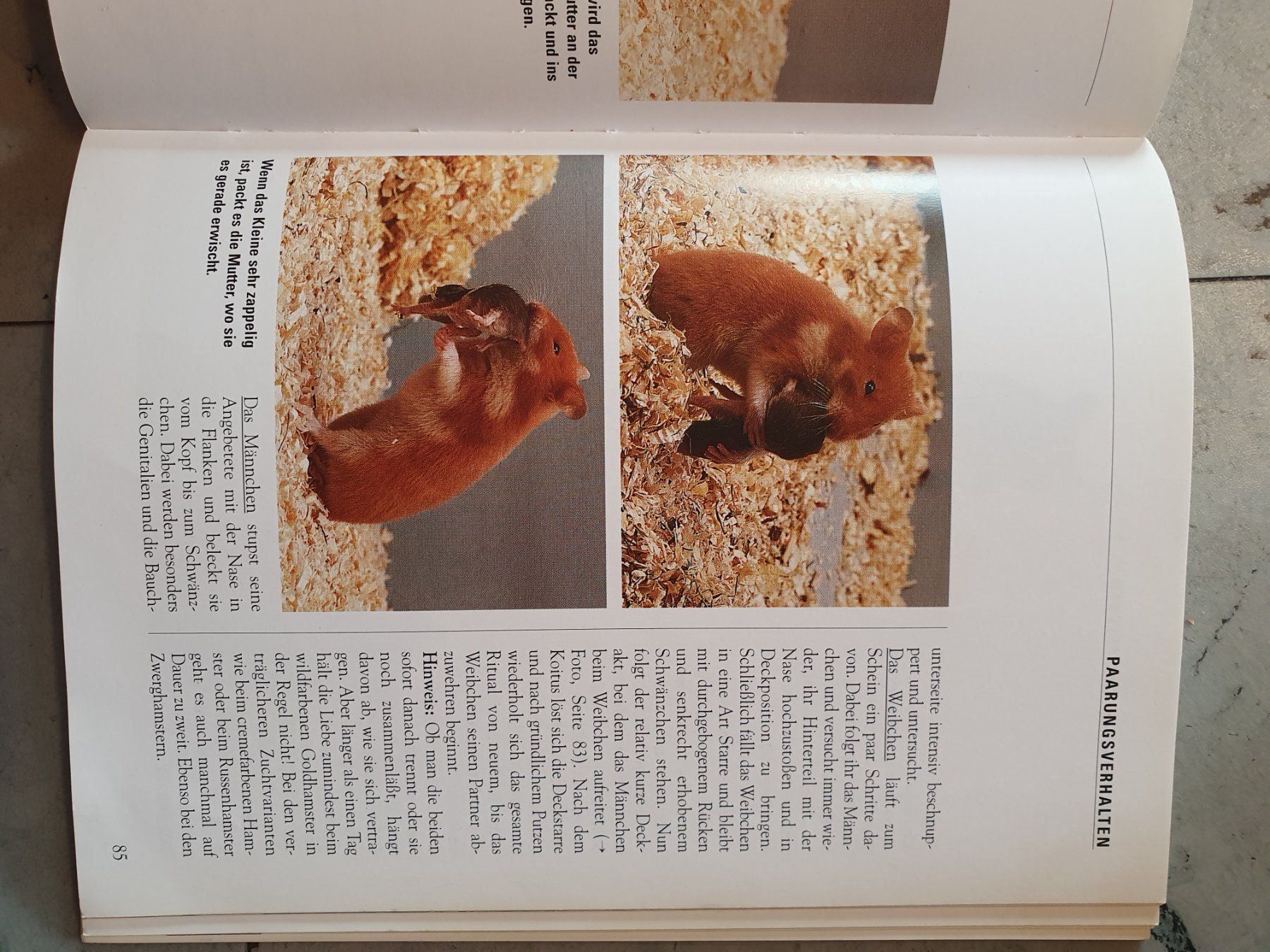 Bücher: Der Hamster – Gebraucht aus Moosseedorf von Sonnenschein.. 5