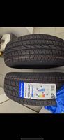 Gomme invernali Windforce 235/60 R18