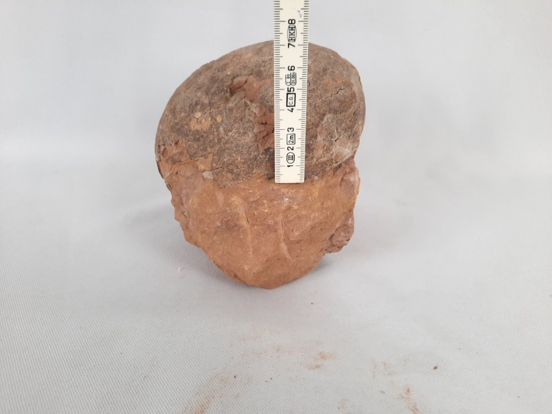 Fossili: Versteinertes Dinosaurier Ei – Usato da Beinwil am See venduto da Restwert_Beinwil 4