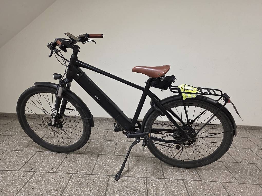 Biciclette: Ego Movement E-Bike 45 km/h – Usato da Kaiseraugst venduto da Jus_v7ts 2