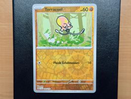 Terracool Reverse (088/159) - AVENTURES ENSEMBLE - JTG FR