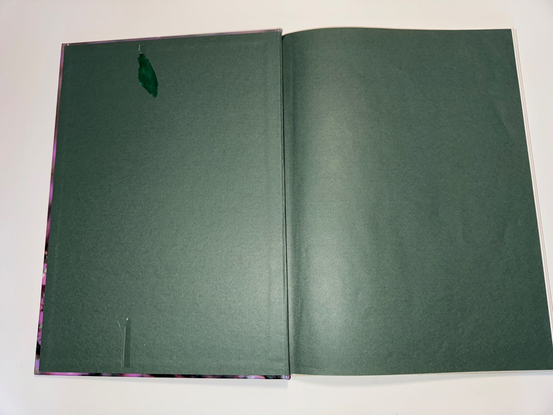 Libri: BUCH: Katzenkinder – Usato da Grosswangen venduto da Second_hand_paradise 1