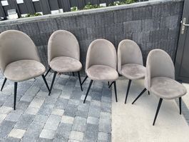 Stuhl Stühle Esszimmerstuhl Gartenhaus  Hobbyraum  ab 1.--