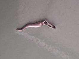 Silber Anhänger Peperoncini Glücksbringer gebraucht