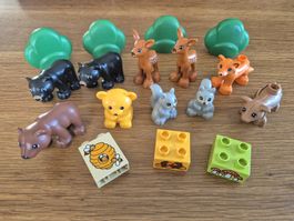 Duplo Waldtiere Set (Y375)