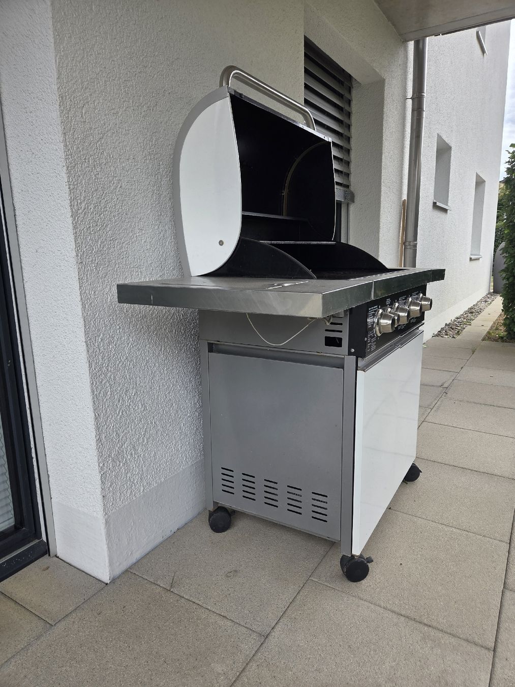 Katzenklappen: Grill – Gebraucht aus Rickenbach-Sulz von Bacardibabe 5