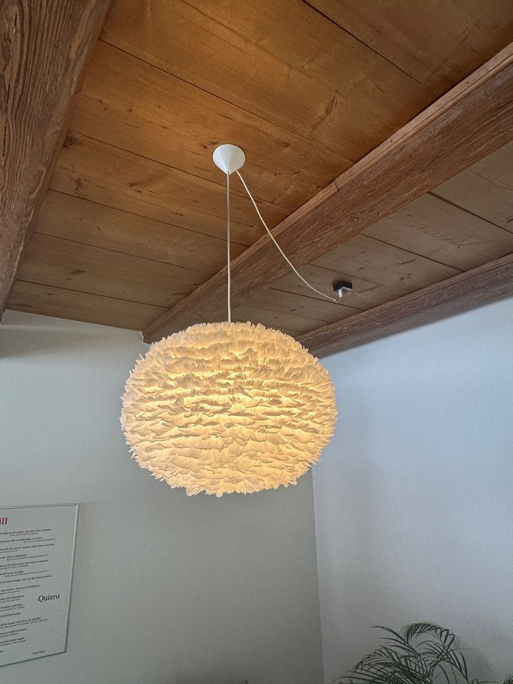 Lampadari & plafoniere: Eos Hängelampe Gänsefedern gross – Usato da Erlinsbach venduto da Srocky