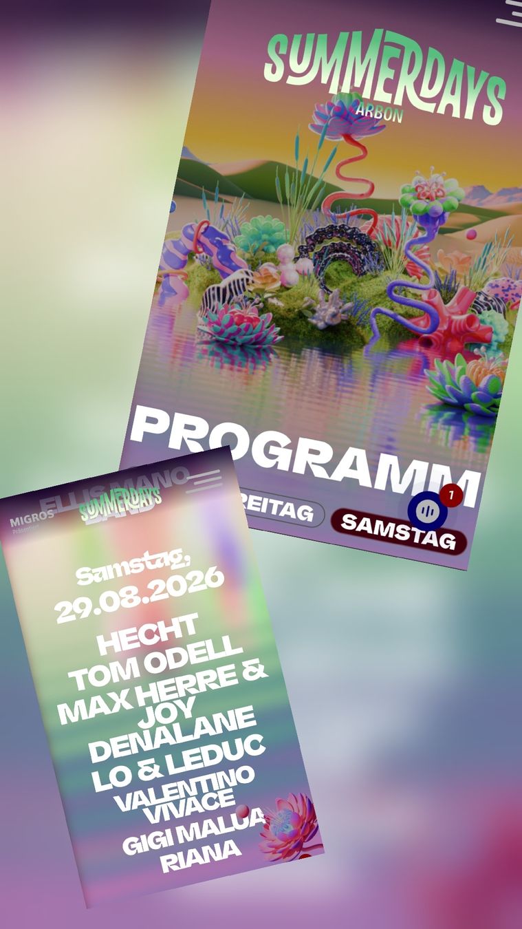 Tickets: Summerdays Tagesticket  – Neu (gemäss Beschreibung) aus Schaffhausen von melinda1983
