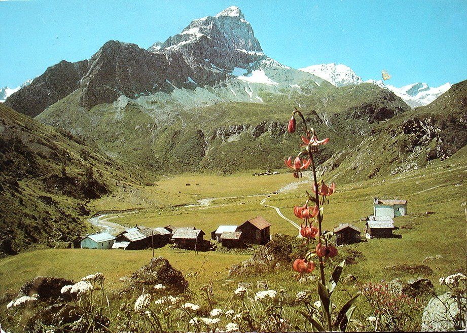 Ansichtskarten: MÜHLEN MULEGNS im Oberhalbstein - Val Faller – Gebraucht aus Jona von philajona