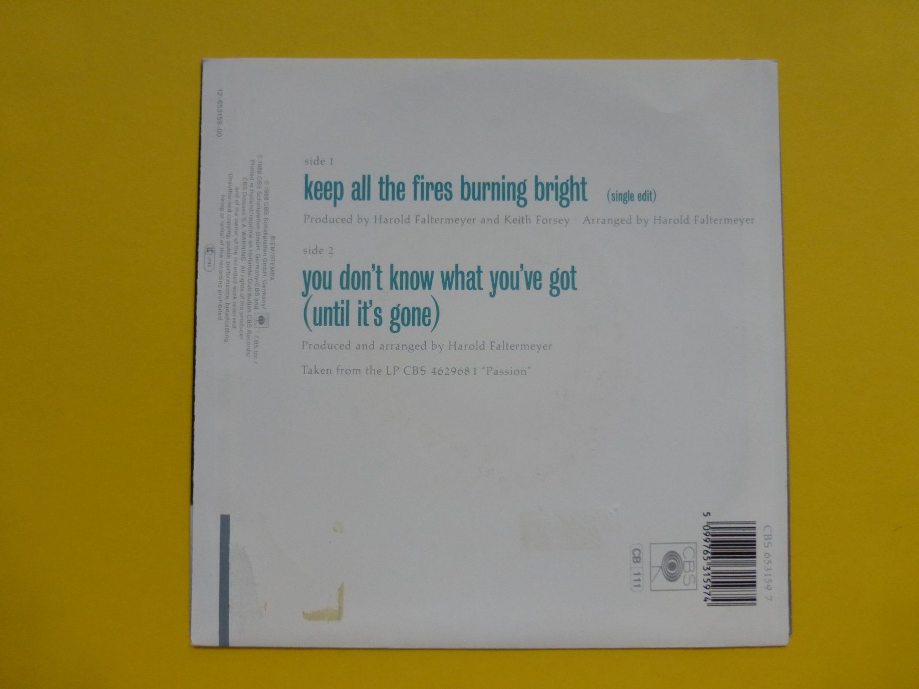 Dischi in vinile: Jennifer Rush – Keep All The Fires Burning Bright – Usato da Zürich venduto da Swiss57 1