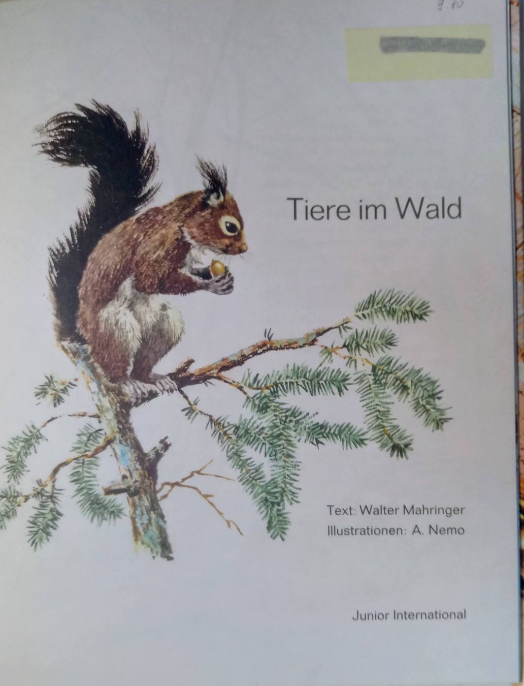 Libri: Bilderbuch "Tiere im Wald", 1968 – Usato da Guttannen venduto da zuberling 1