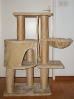 Katzenbaum