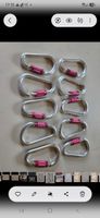 10 Kletterkarabiner Isofer Schraubverschluss silber pink