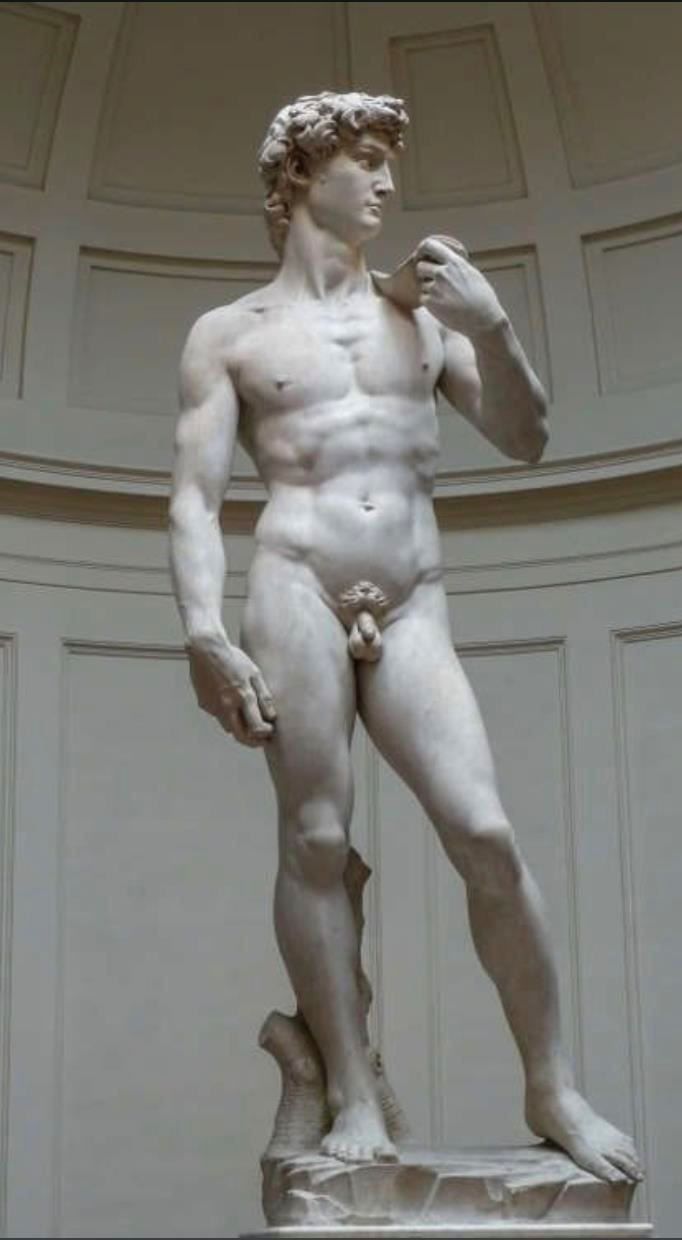 Sculture & Statue: DAVID - nach Vorbild Michelangelo – Nuovo (secondo la descrizione) da Appenzell venduto da Zimiuno