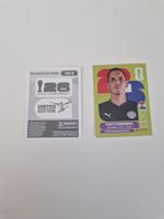 Panini Sticker PAR2
