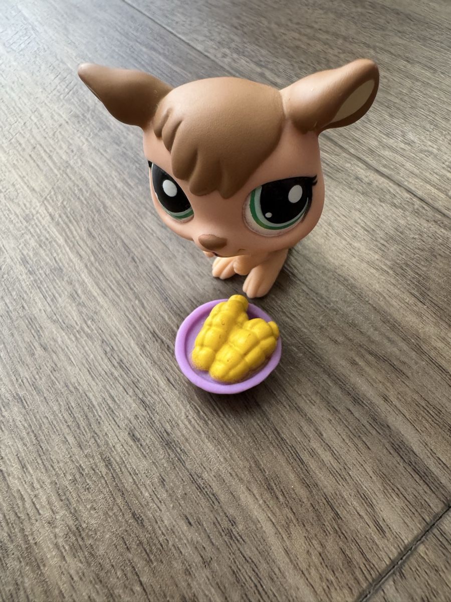 Littlest Pet Shop Figuren: LITTLEST PET SHOP KANGAROO NR.1467✨ – Gebraucht aus Dietikon von athiinax 1