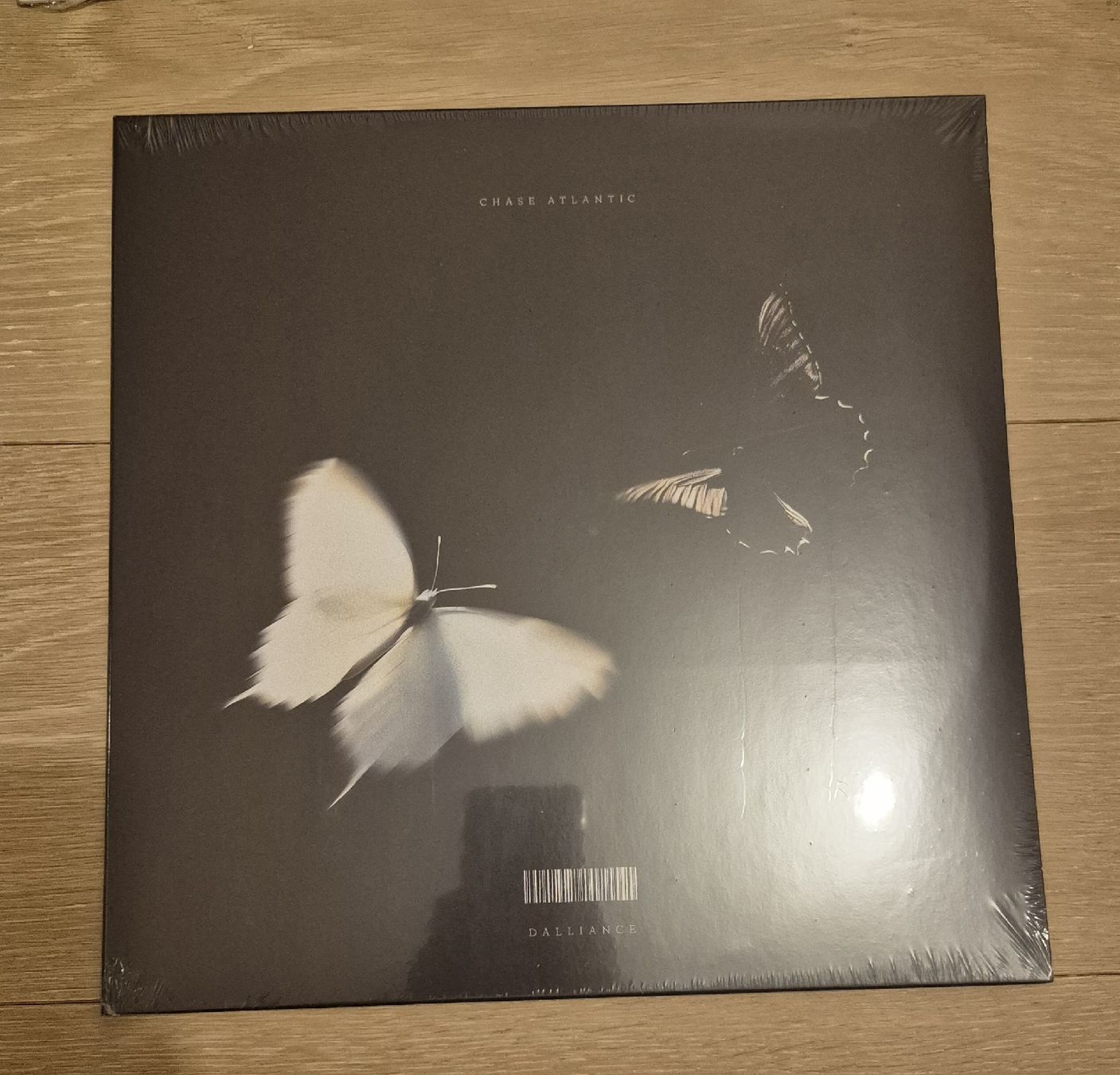 Dischi in vinile: "Dalliance" LP von Chase Atlantic – Nuovo e nell'imballaggio originale da Schaffhausen venduto da TinyMoaGenie 2
