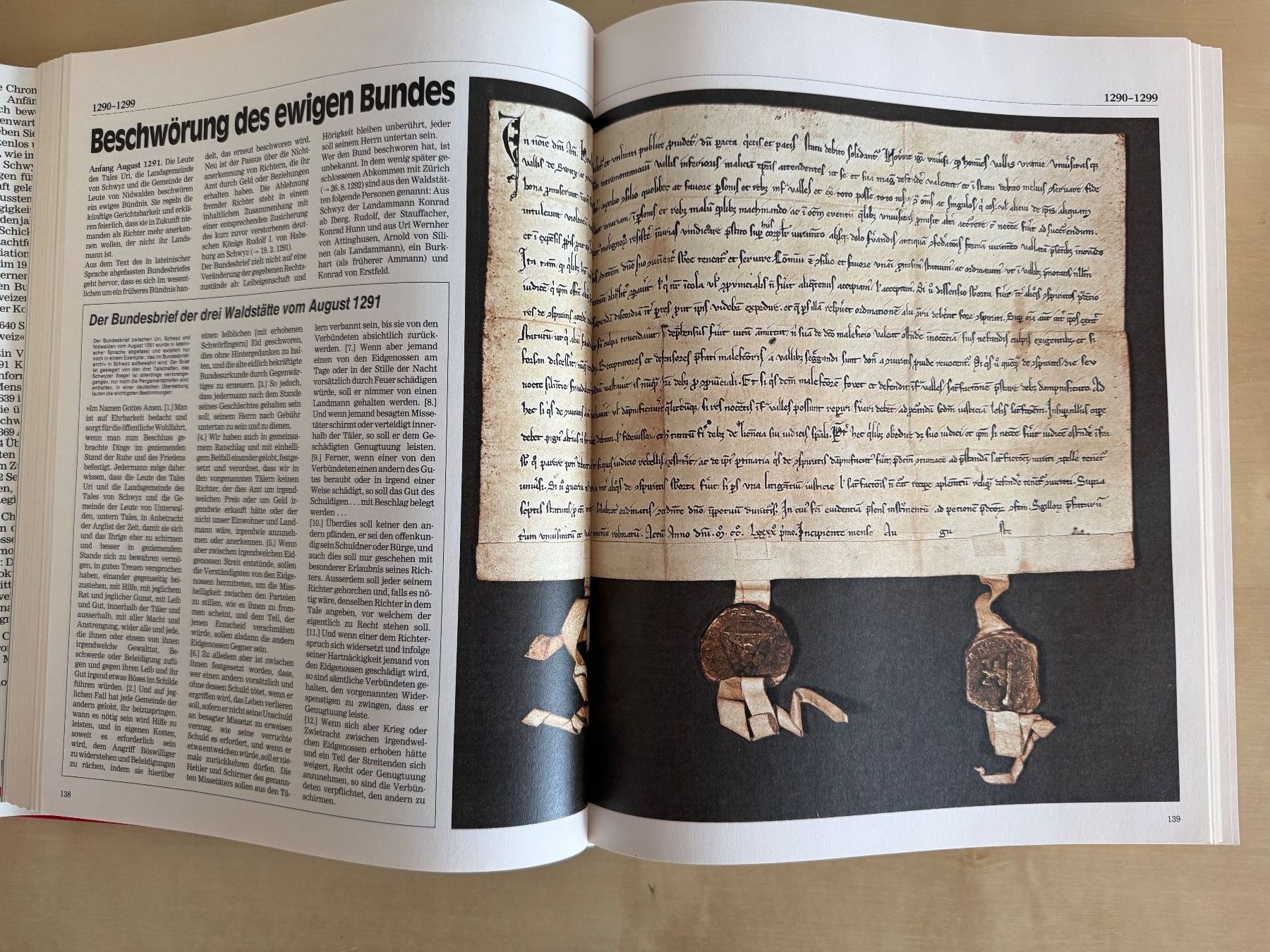Libri: Chronik der Schweiz – Usato da Luzern venduto da lbreu 2