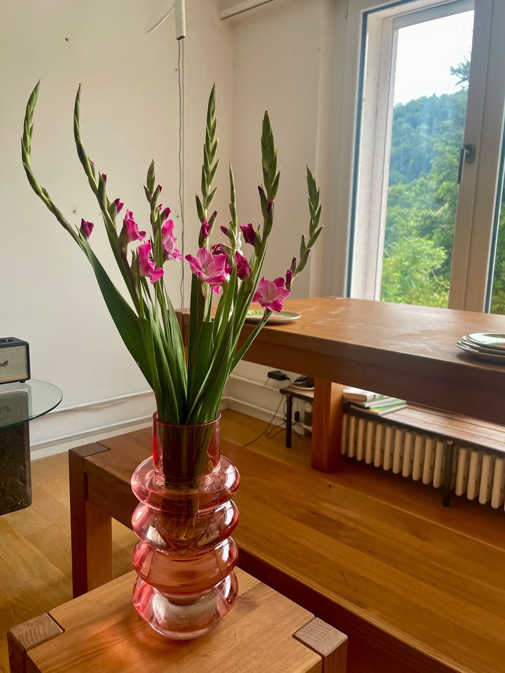 Vasi & Recipienti: XXL rot rose Glas Vase – Usato da Nussbaumen AG venduto da HelenaDavid1910 1