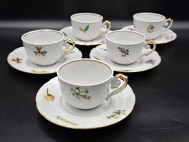 Langenthal Tea Cup&Saucer Set Siegfried Medicina Herbs serie