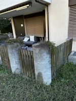 6 Betonpflanztröge zylindrisch akzeptabler Zustand