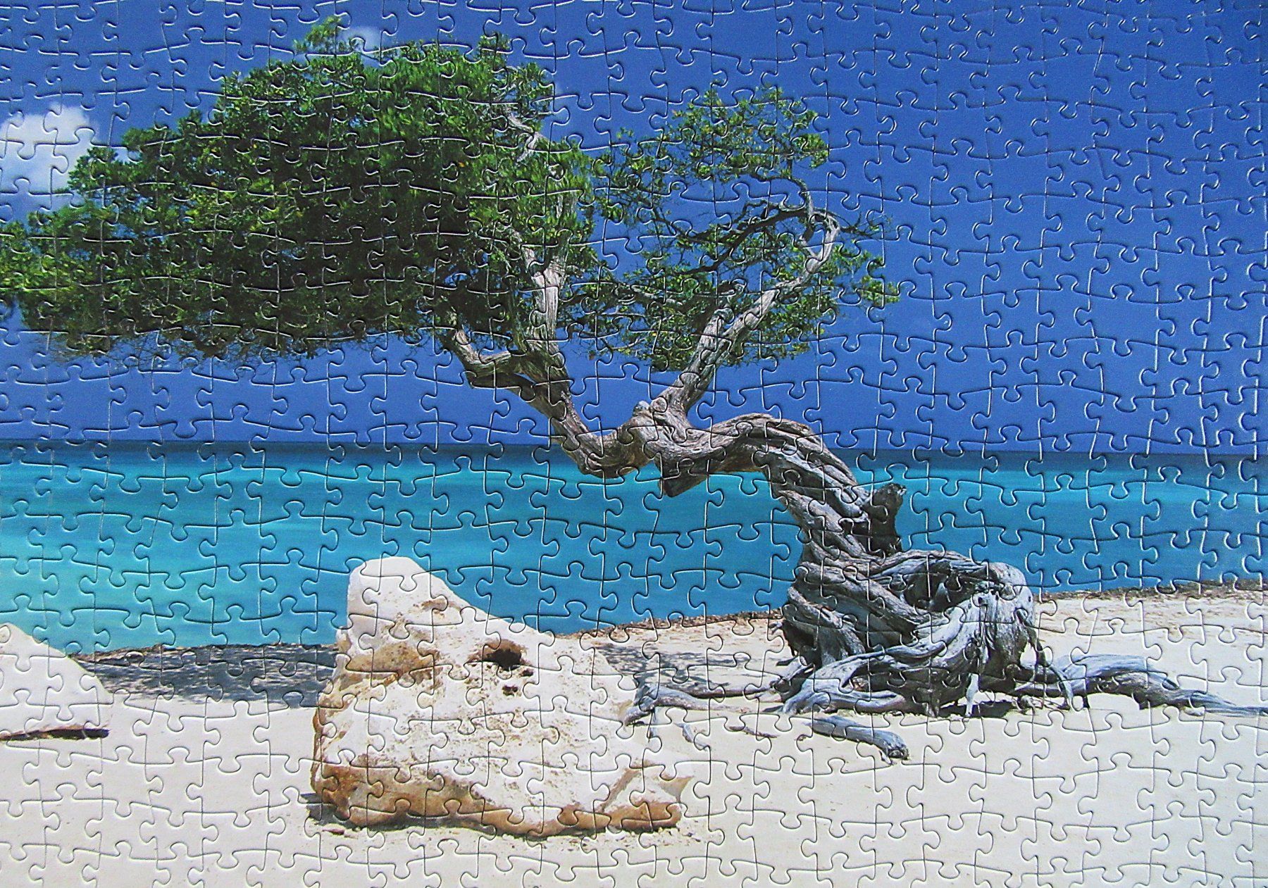 Heye Puzzle: Heye Puzzle - 1000 Teile - Divi Divi Tree - komplett – Usato da Auenstein venduto da Padabimbim 2
