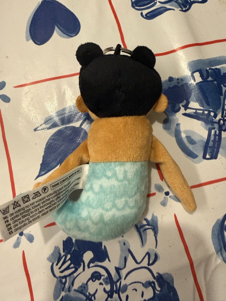 Portachiavi: Keychain – Usato da Mendrisio venduto da ketolin 1