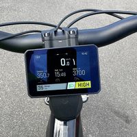 E-Bike nur 350 km