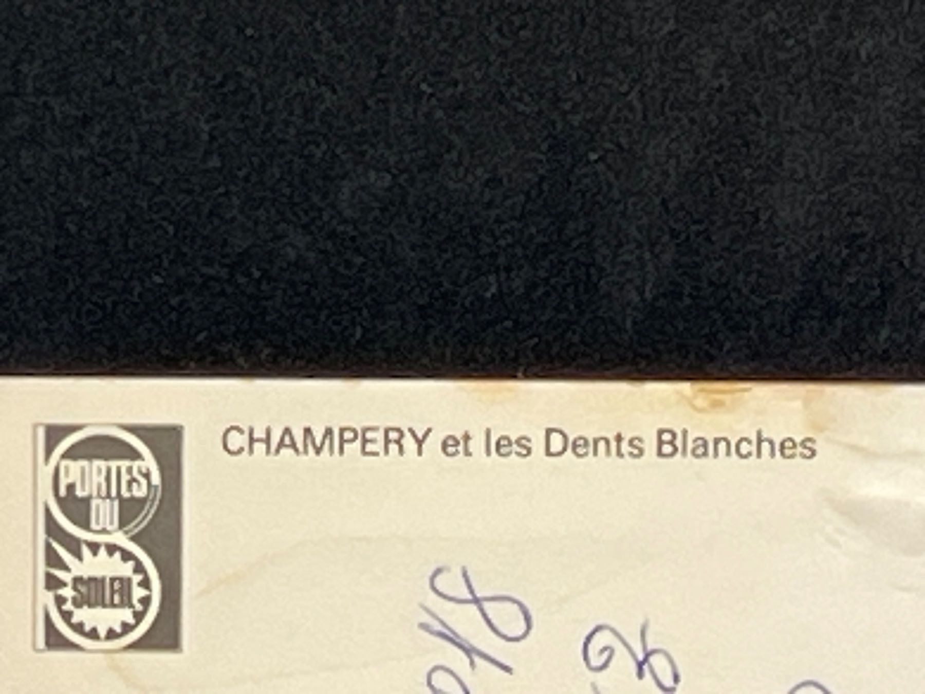 Cartes postales: Champéry et les Dents Blanches – D'occasion à Widnau par Brusi9 2