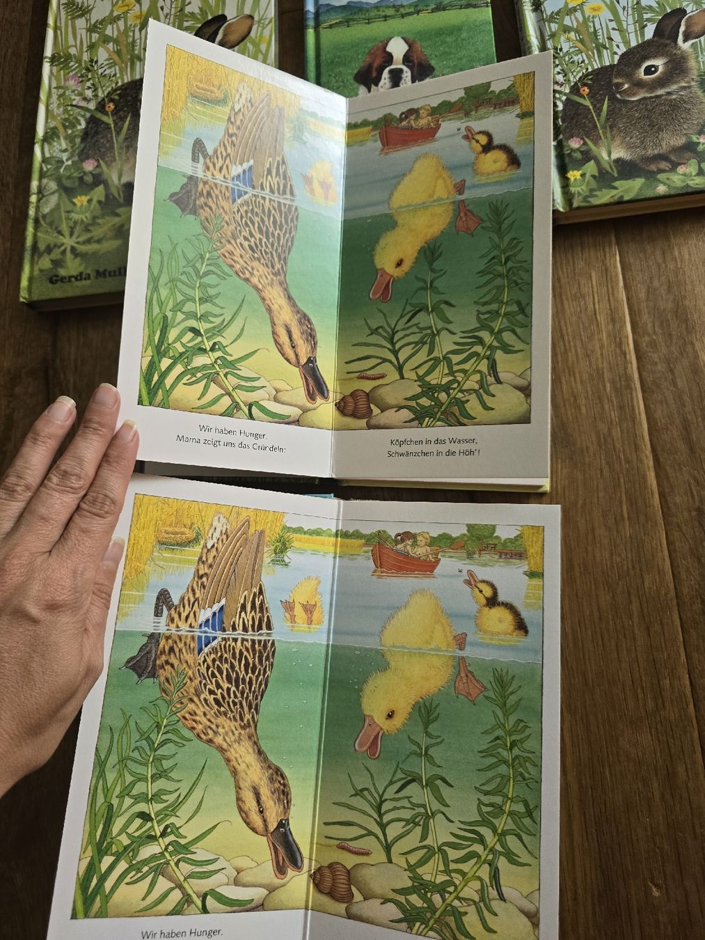 Bücher: 5er Set Kinderbücher "Ich bin..." Ravensburger set – Gebraucht aus Wittenbach von Tigerlili 2