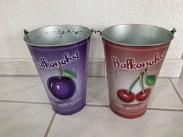 2 Balkon Obst Pflanzentöpfe, Kirsche und Pflaume, Sommer