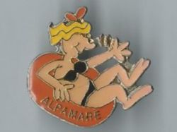Placchette & Badge: Alpamare Pin – Usato da Zürich venduto da t24_de