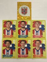 Panini WM 2026 Norwegen 