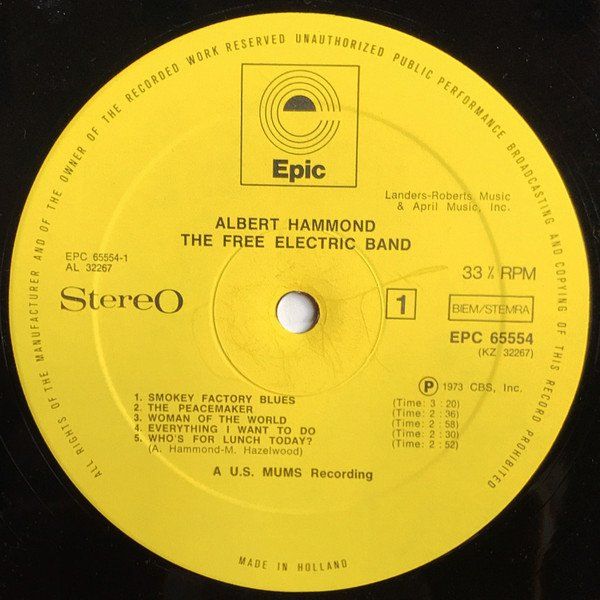 Vinyles: Albert Hammond – Neuf (Voir description) à Aeschi SO par Stones55 2