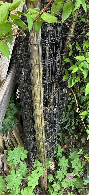 Altre attrezzature per stalle: Gartenzaun, Weidezaun – Usato da Münchenstein venduto da Vorsorge 1