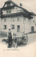 Luzern (LU) Milchfuhrwerk mit Hunden anime