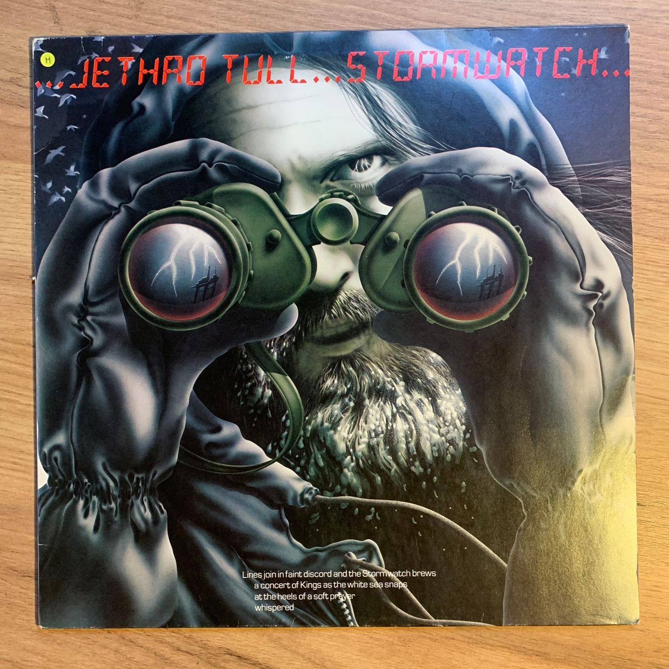 Dischi in vinile: JETHRO TULL - STORMWATCH...OG GER 1979...VG++/VG++ – Usato da Gals venduto da Diskopatshop