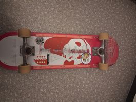 Skateboard 8