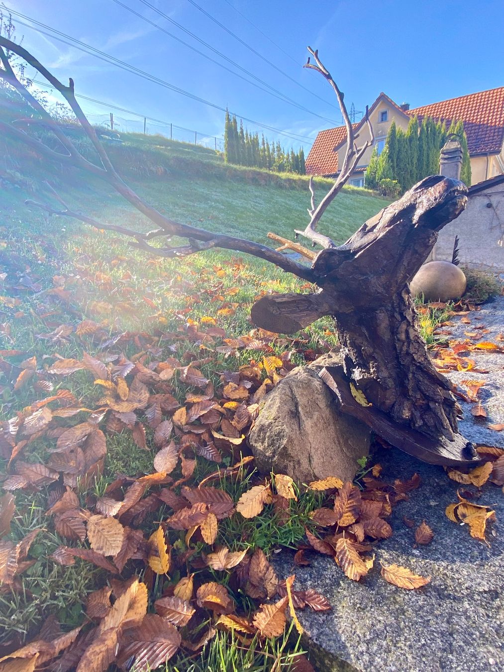 Tutte le decorazioni: Hubertus – Usato da St. Gallen venduto da Kooby 4
